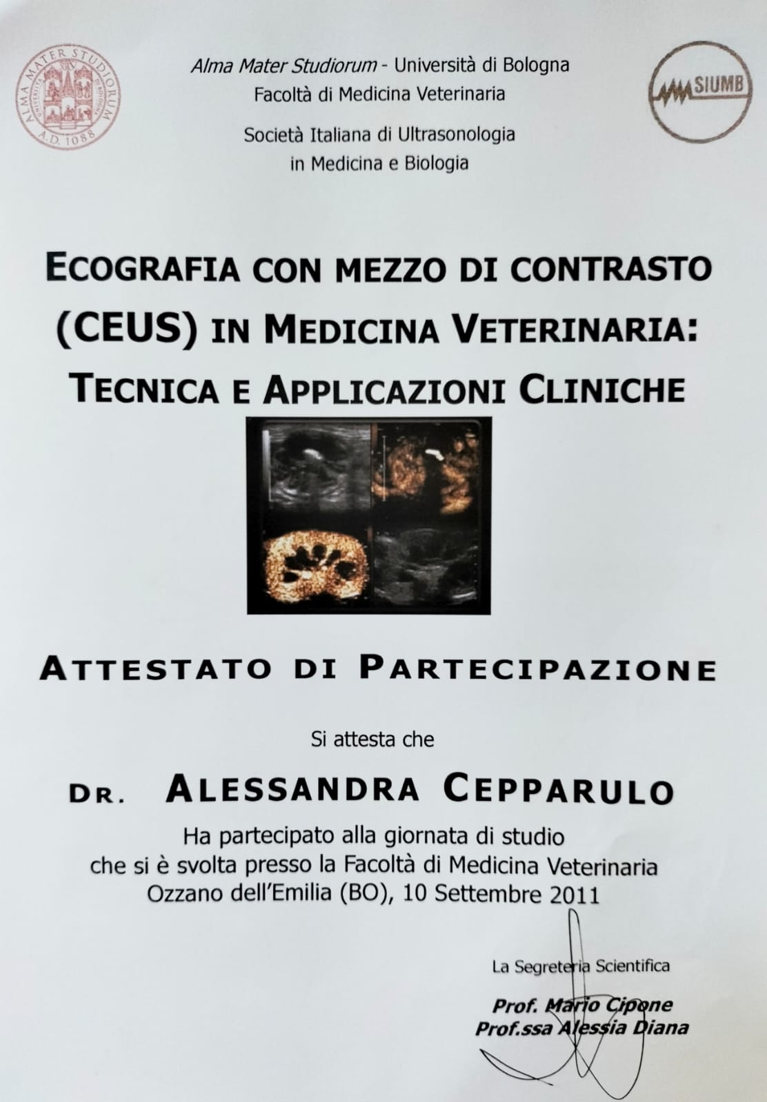 Alessandra_Cepparulo (4)