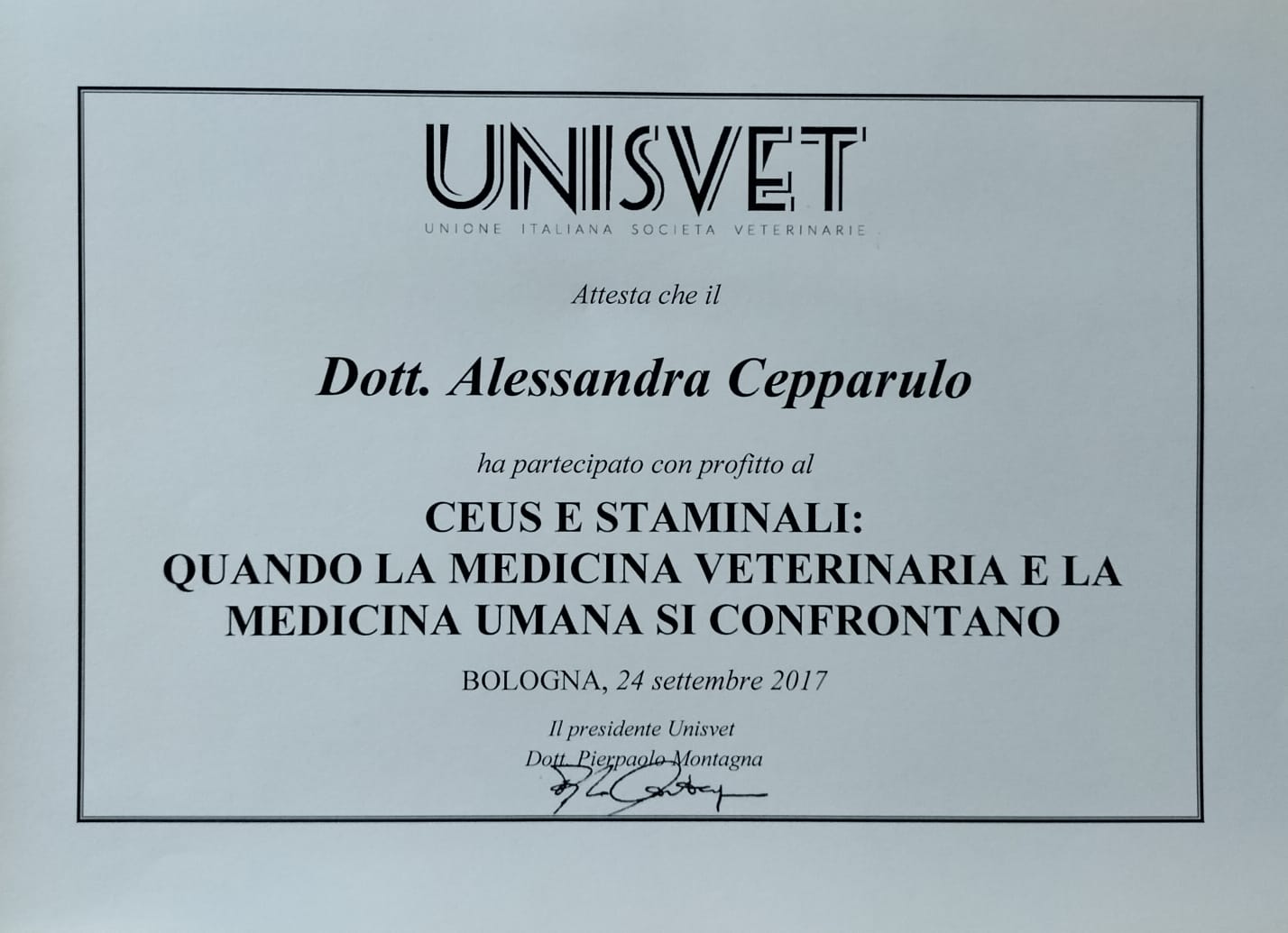 Alessandra_Cepparulo (6)