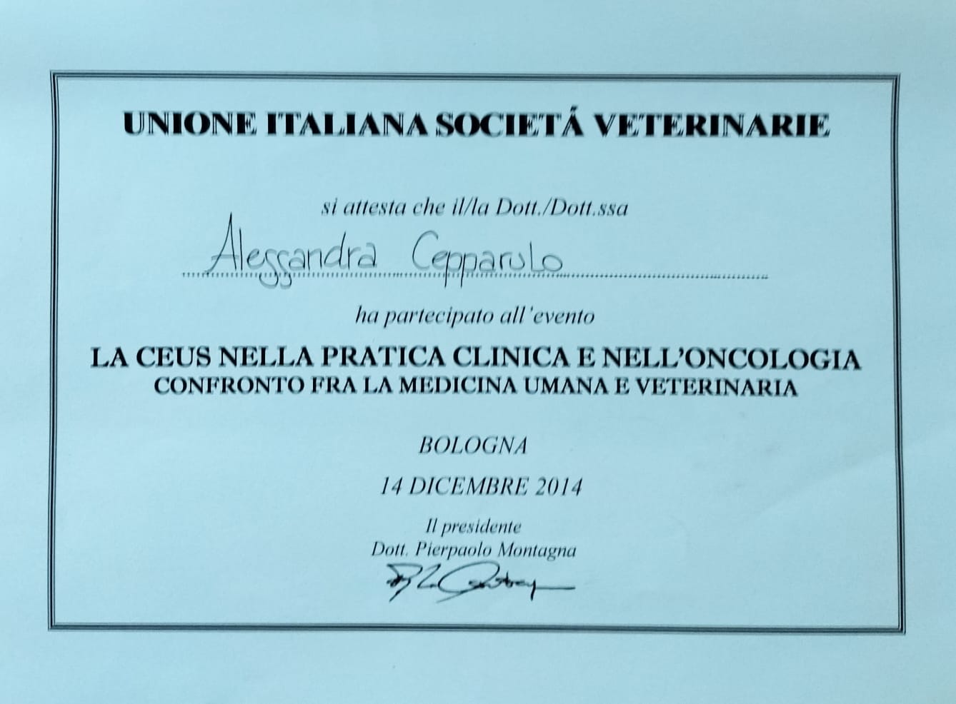 Alessandra_Cepparulo (9)