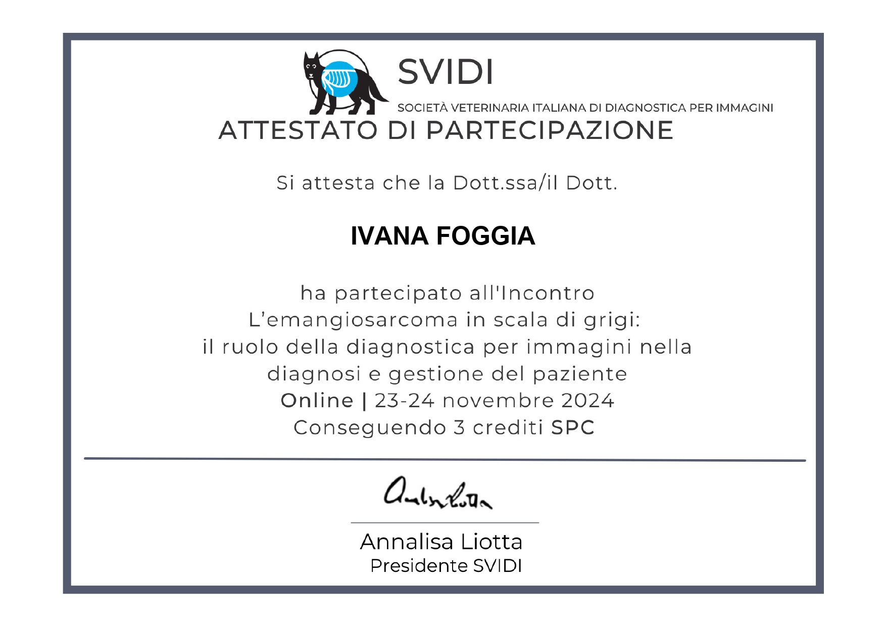 SVIDI 2024_page-0001