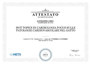 attestato Alessandra longo