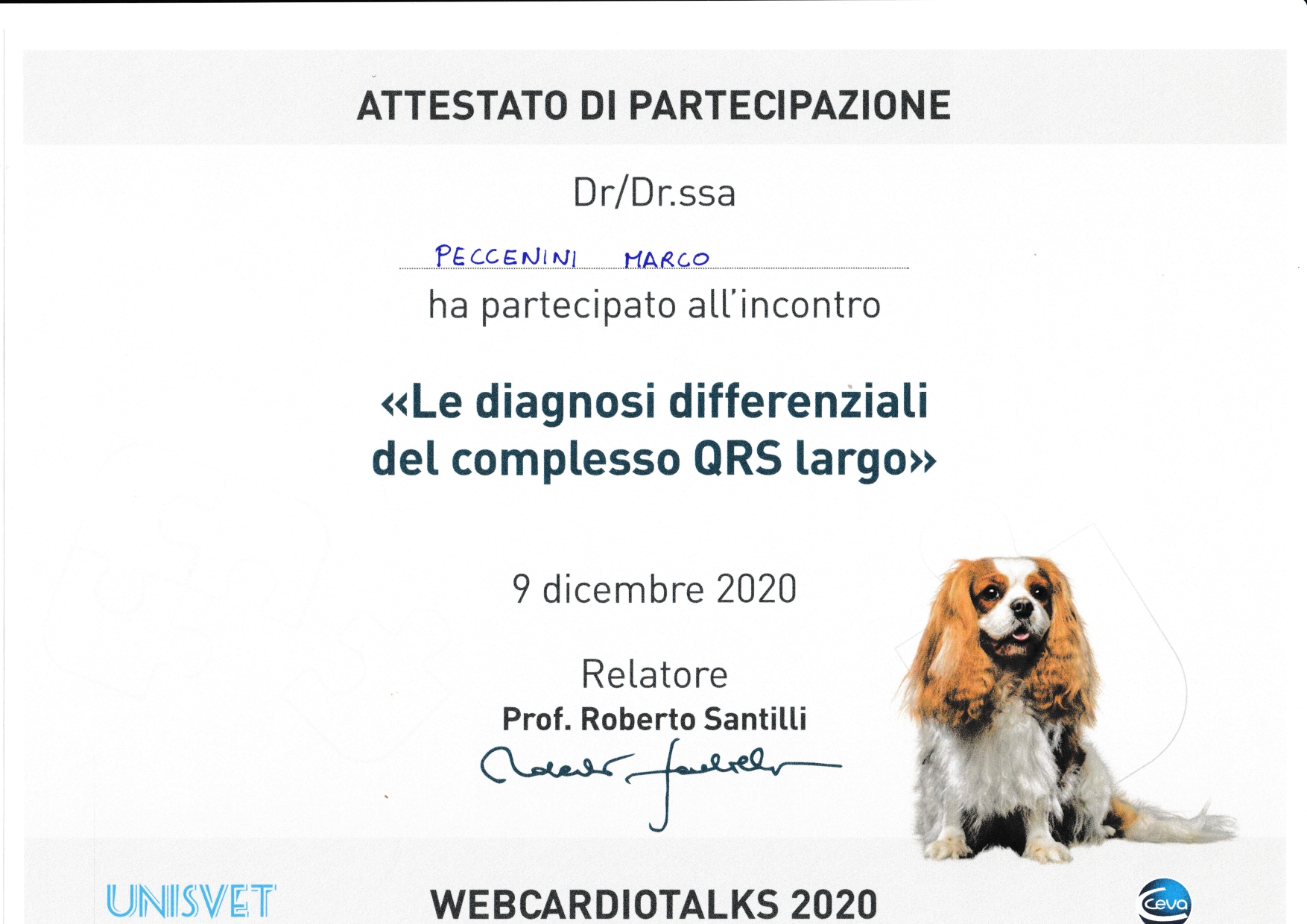 marco_Att (18)