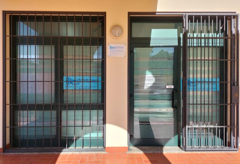 Ingresso Ultravet Diagnostic