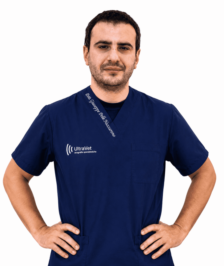 Giuseppe-Pelle-Nazzareno
