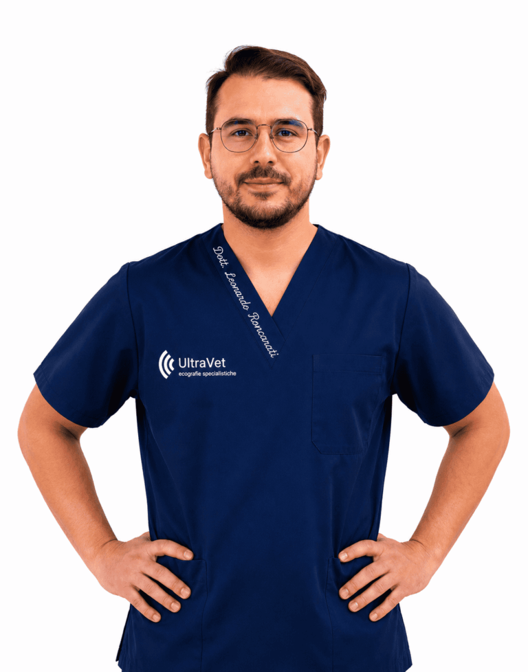 Leonardo-Roncarati