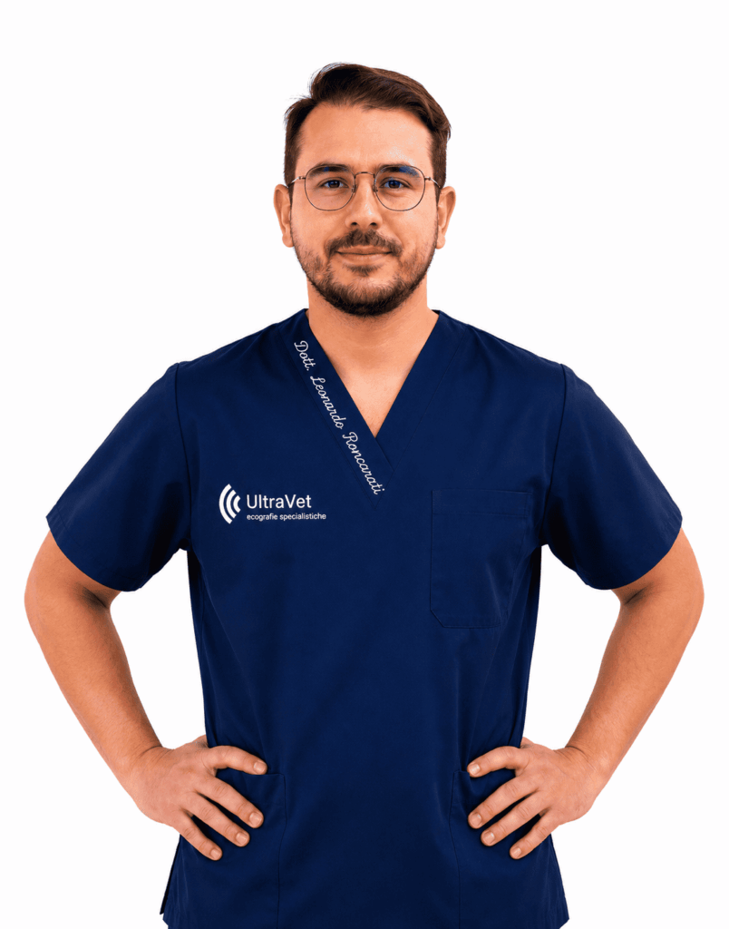 Leonardo-Roncarati