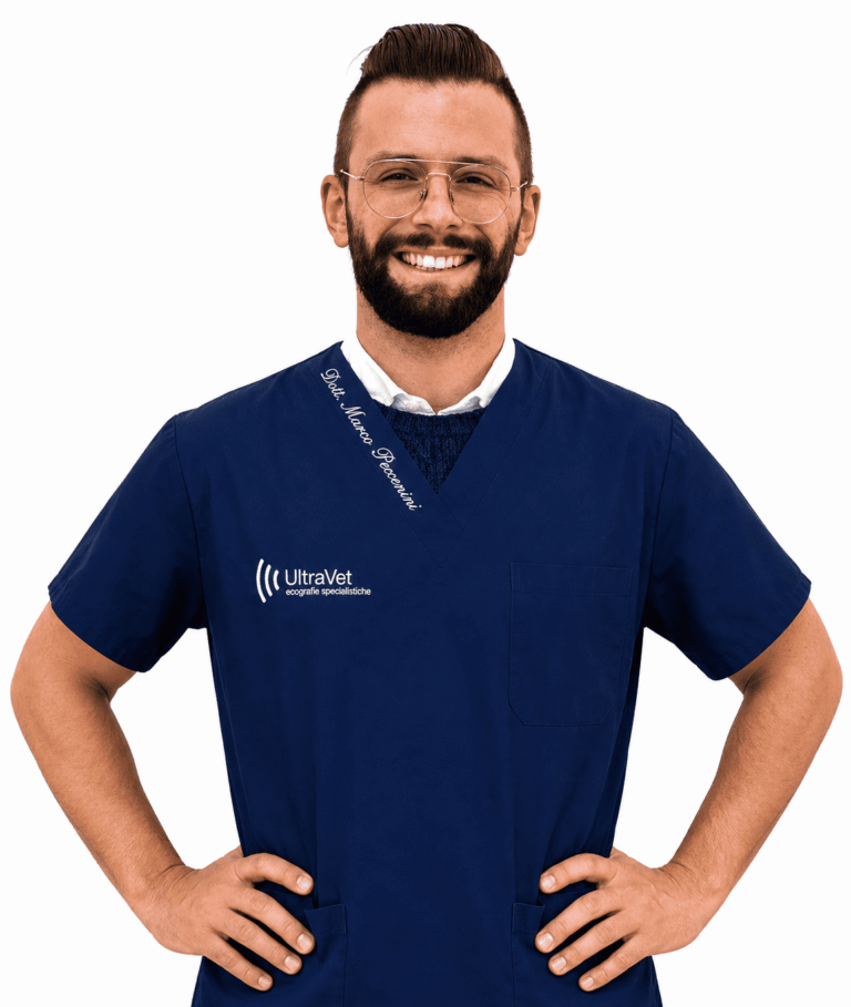 Marco-Peccenini